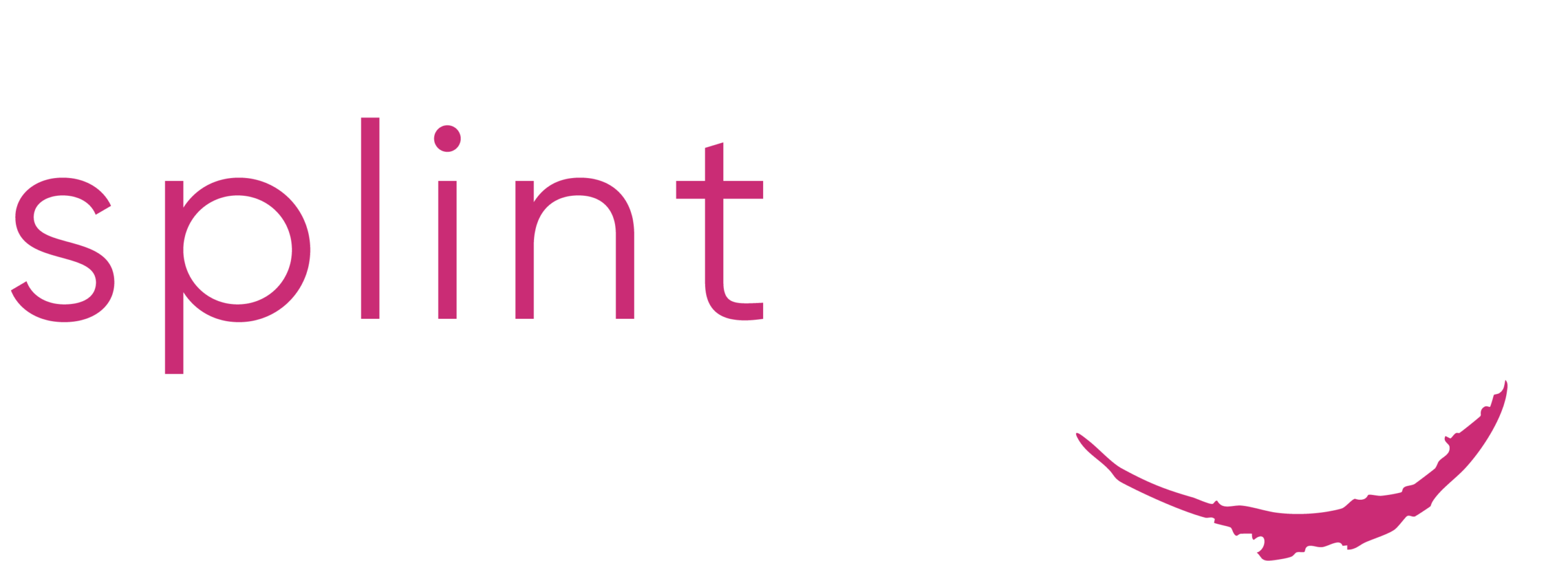 The Splintworx